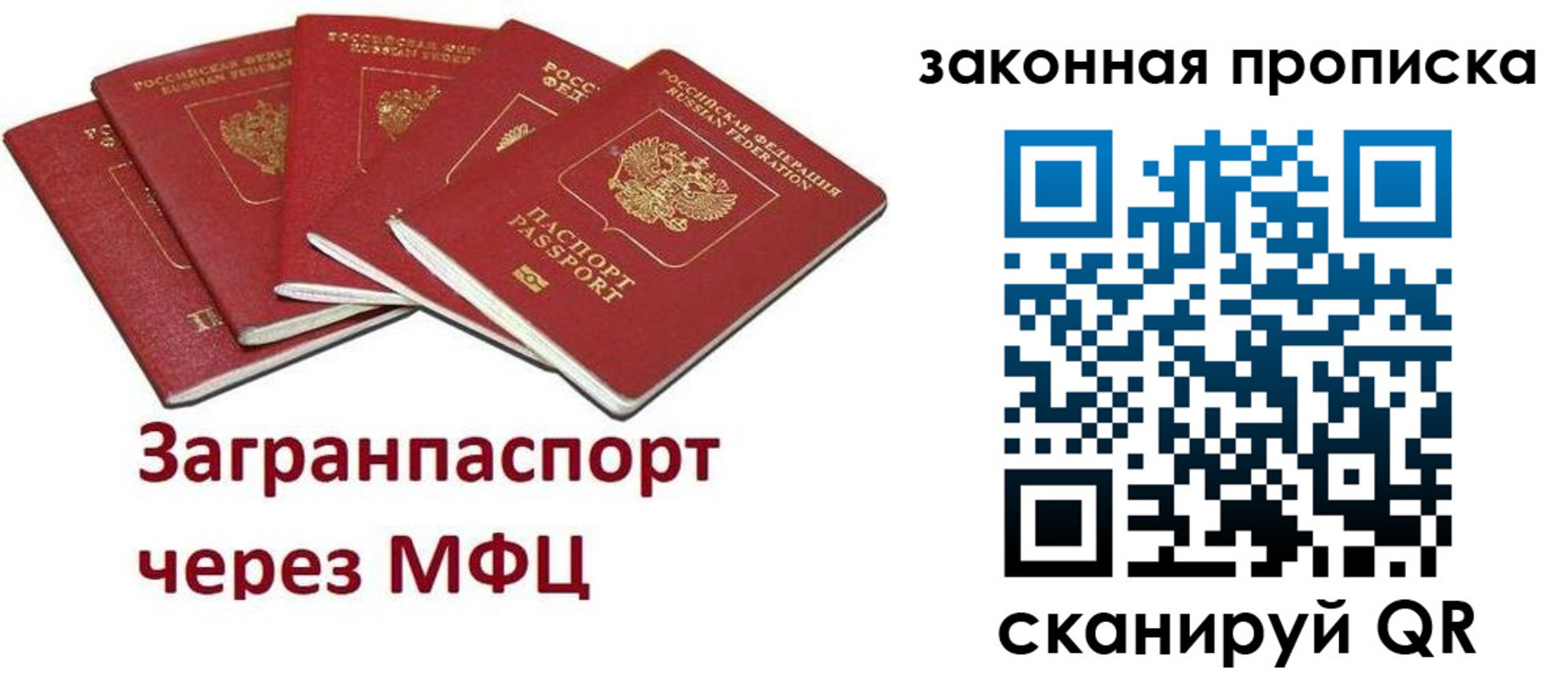 временная регистрация поиск в Электрогорске